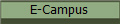 E-Campus